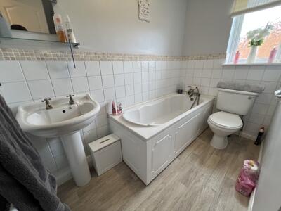 Picture 14